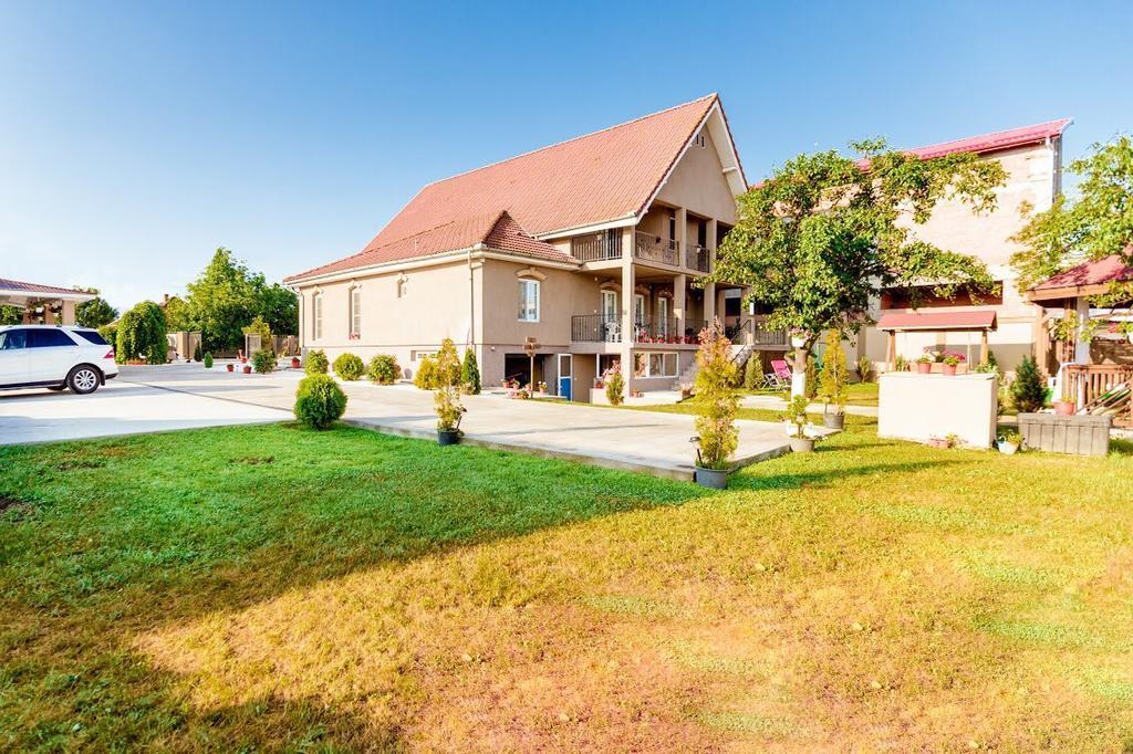 Casa Iulia Hotel Hateg Exterior photo